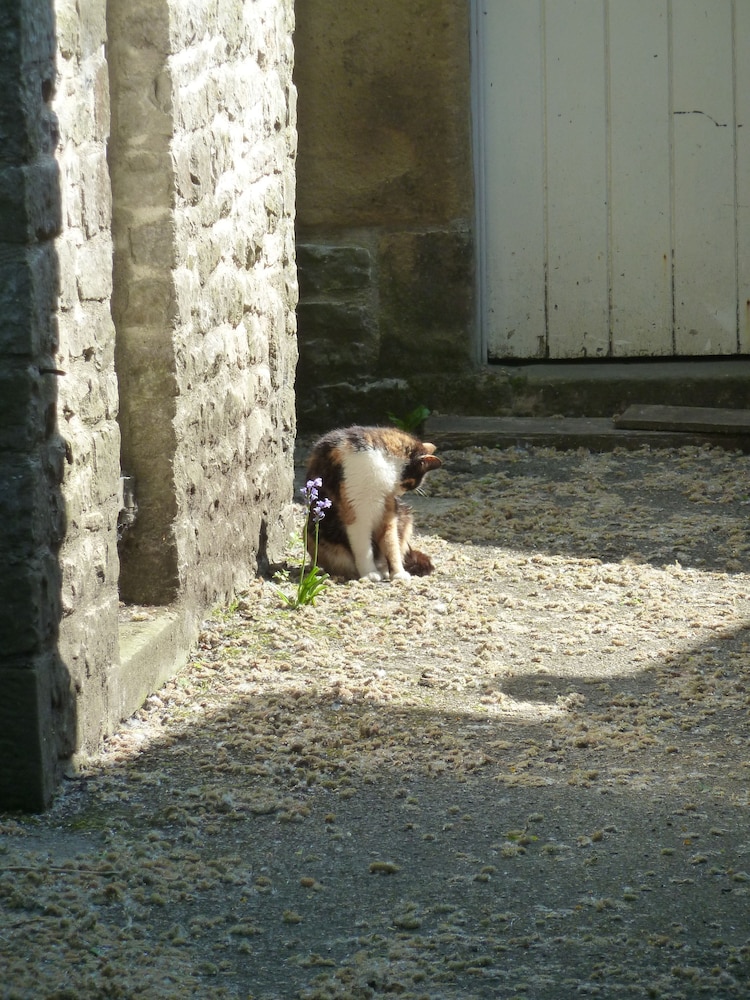 The Old Vicarage B&B 46/50