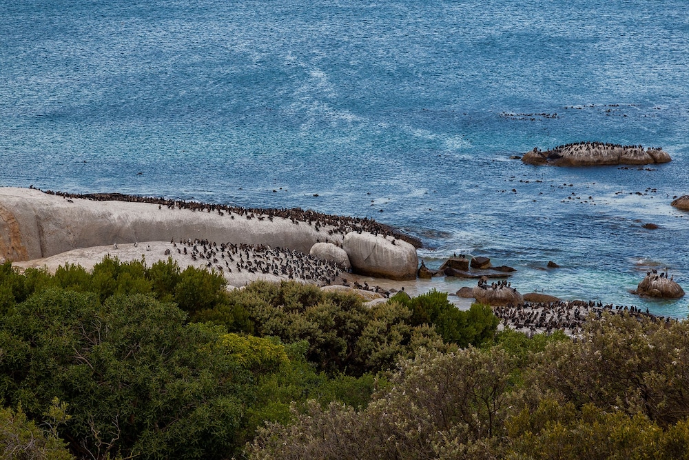 Tintswalo at Boulders 27/38
