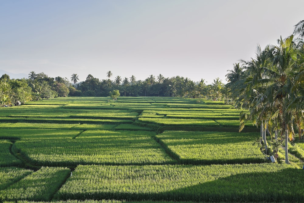 Luxe Villas Bali 26/50