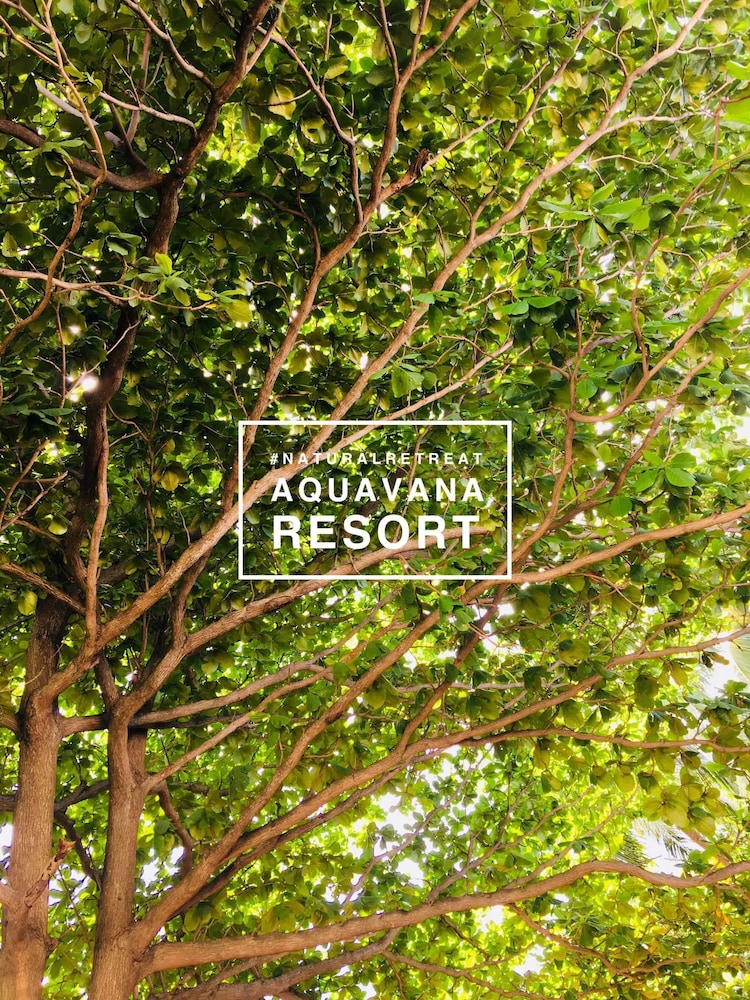 Aquavana Haad Rin Resort 22/31
