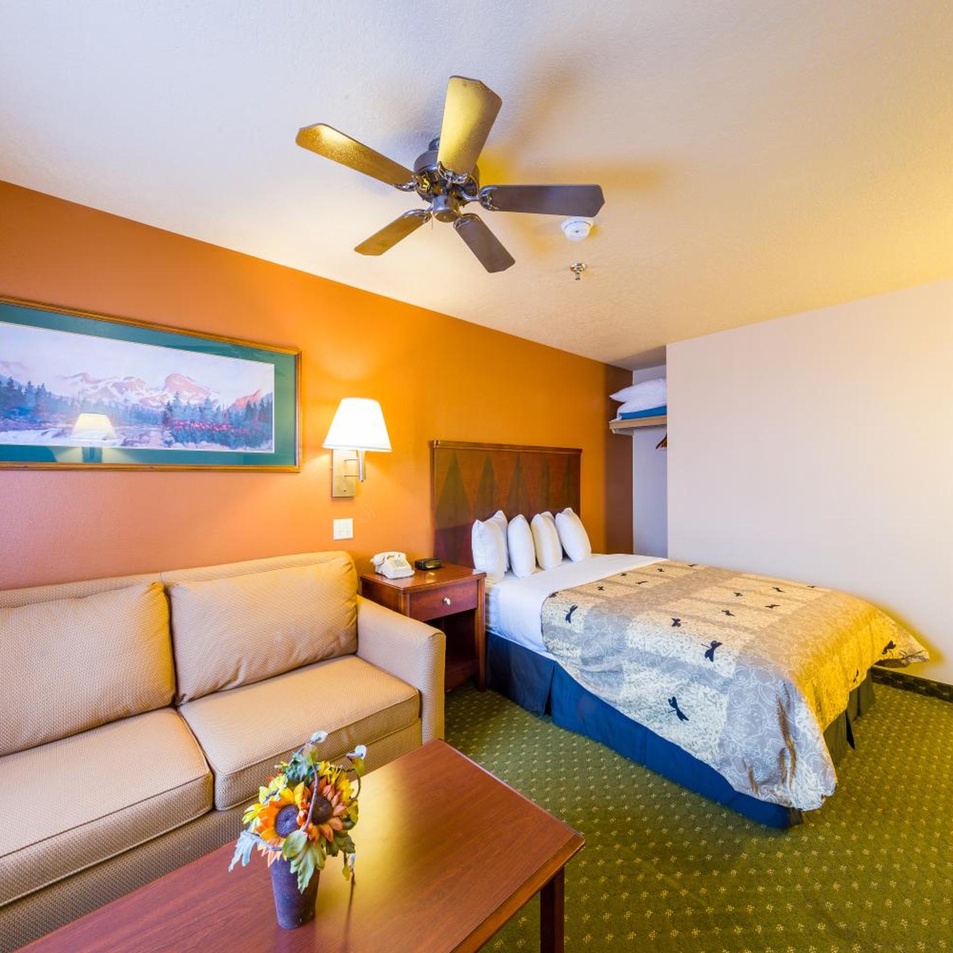 Room, Queen Bed