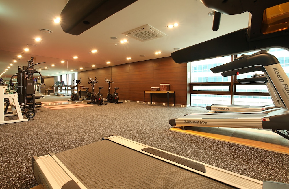 HOTEL SKYPARK KINGSTOWN DONGDAEMUN 46/73