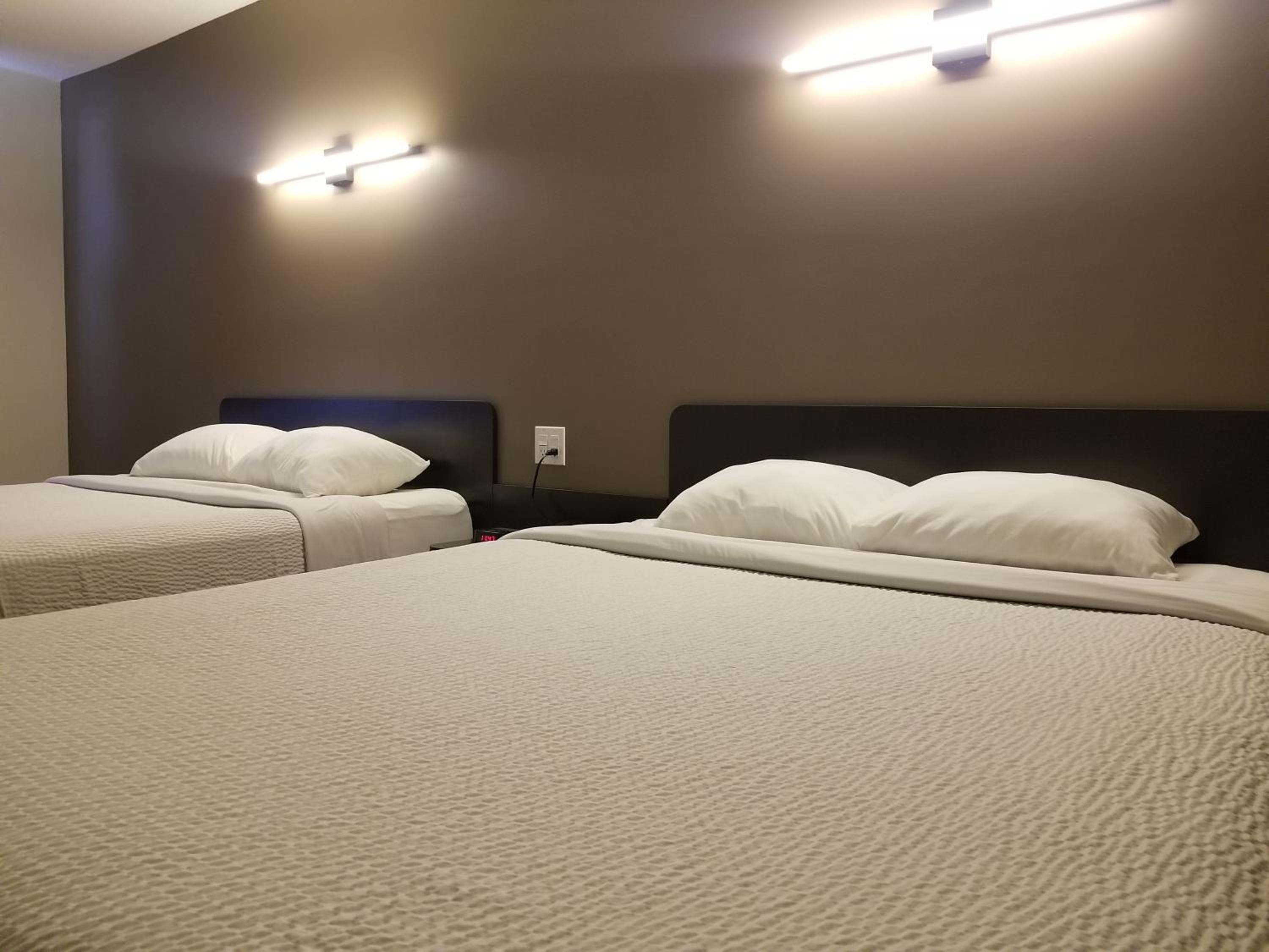 Deluxe, King Bed, 2 Queen Beds