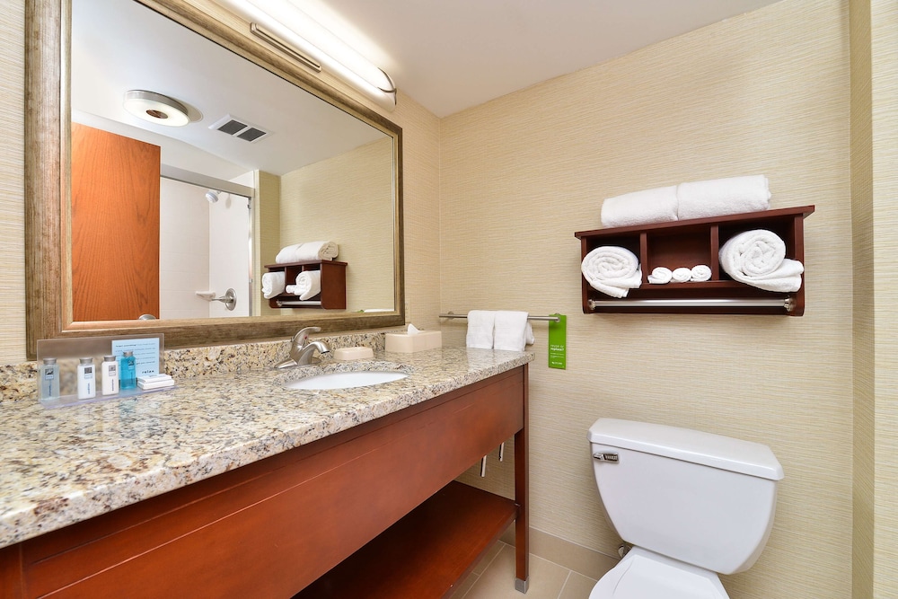 Hampton Inn Detroit Auburn Hills South 13/28