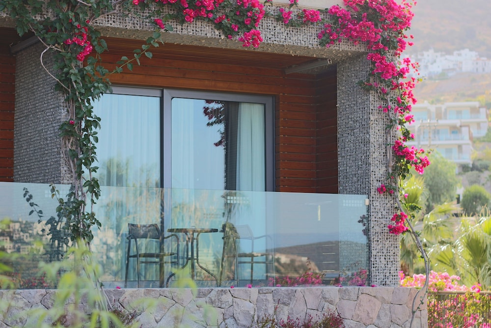 Costa Farilya Special Class Hotel 13/71