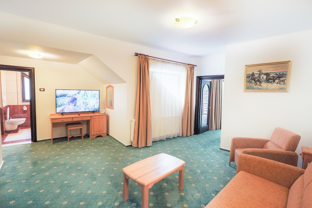 Hotel Casa Viorel 26/50