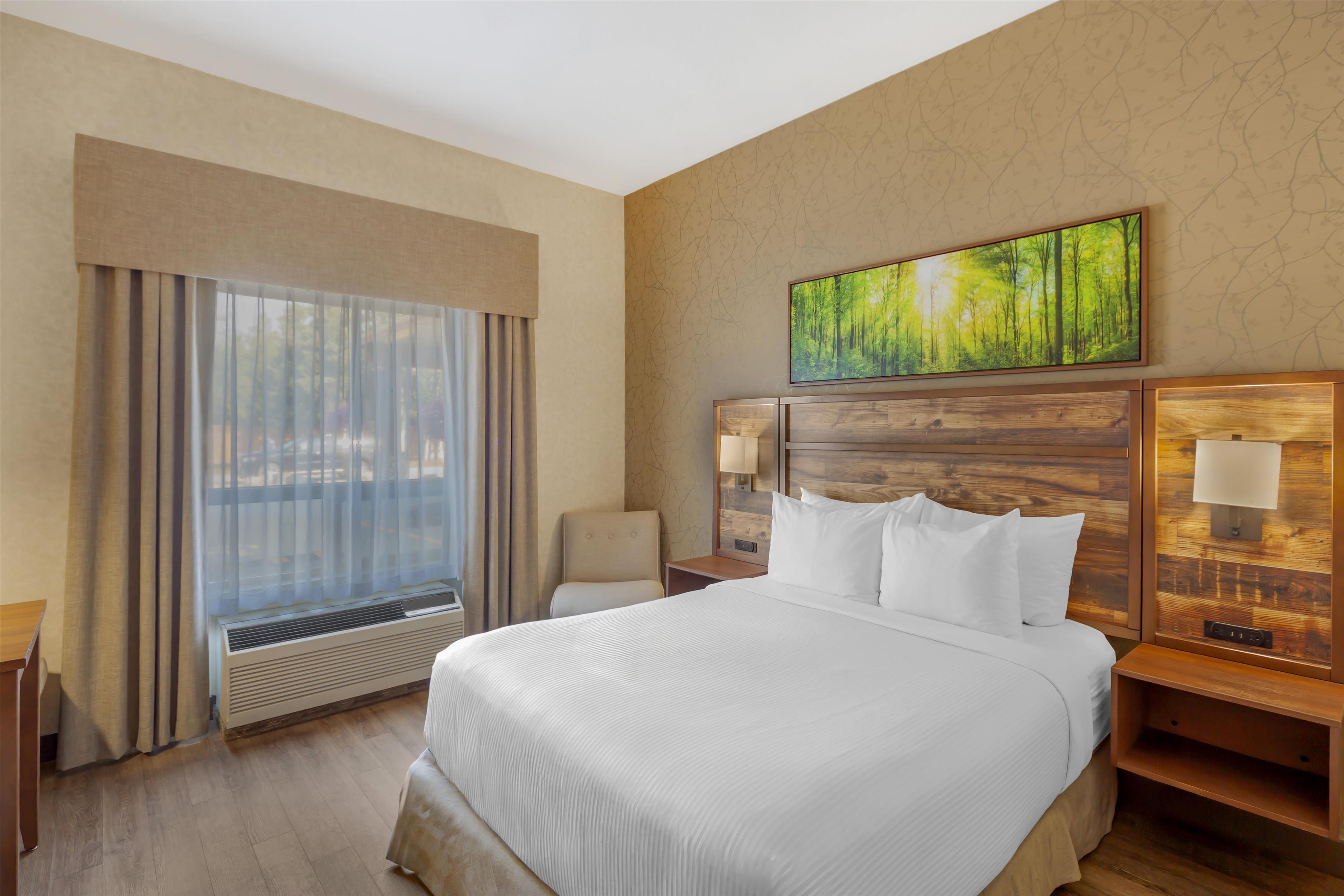Room, Double Bed, Accessible