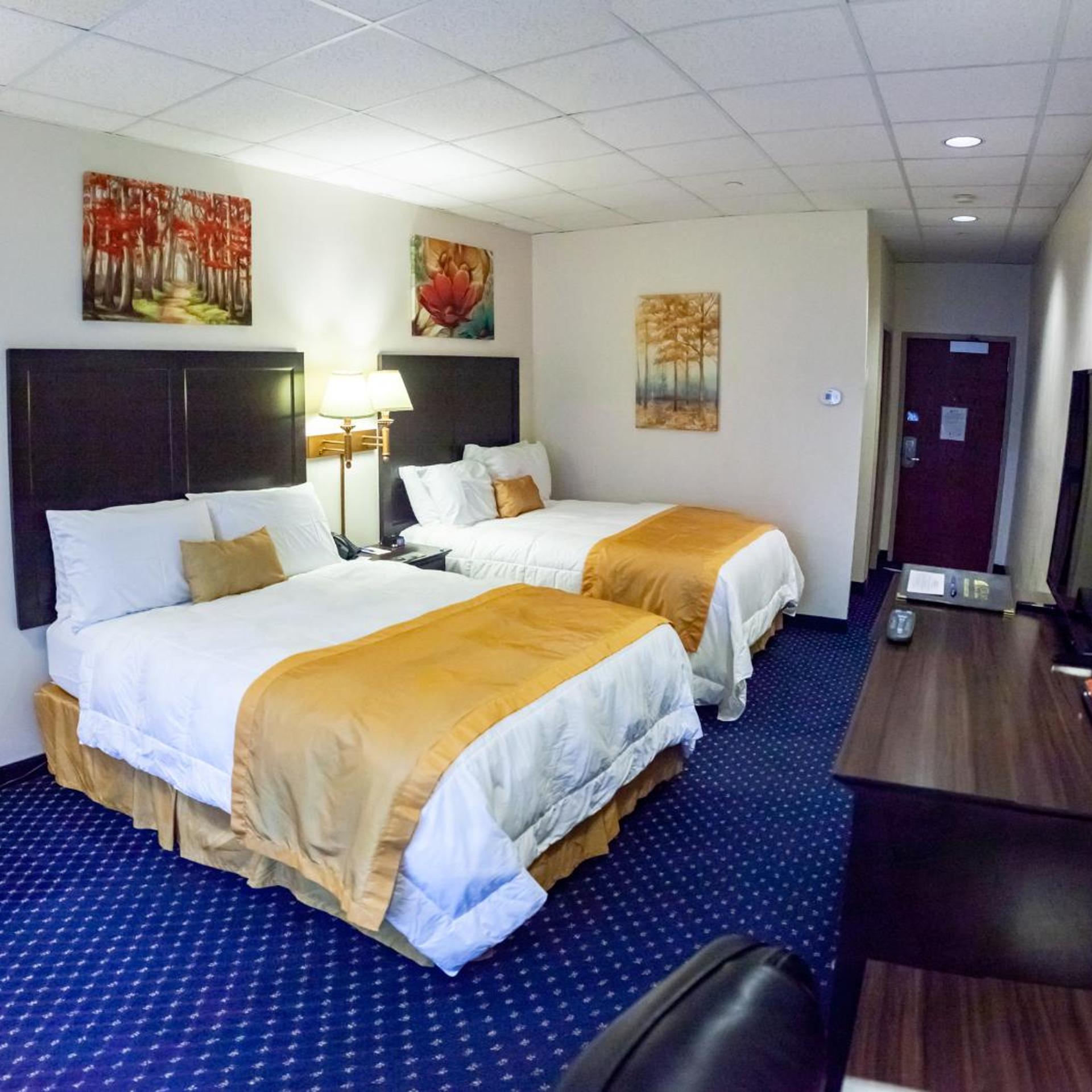 Standard, Queen Bed
