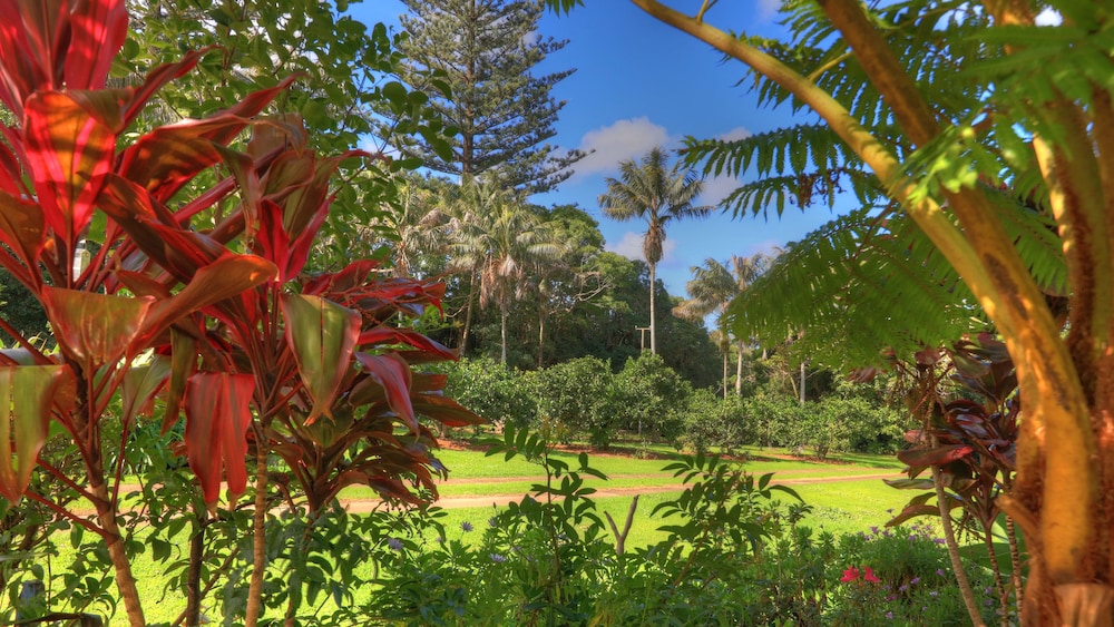 Hideaway Retreat Norfolk Island 30/39