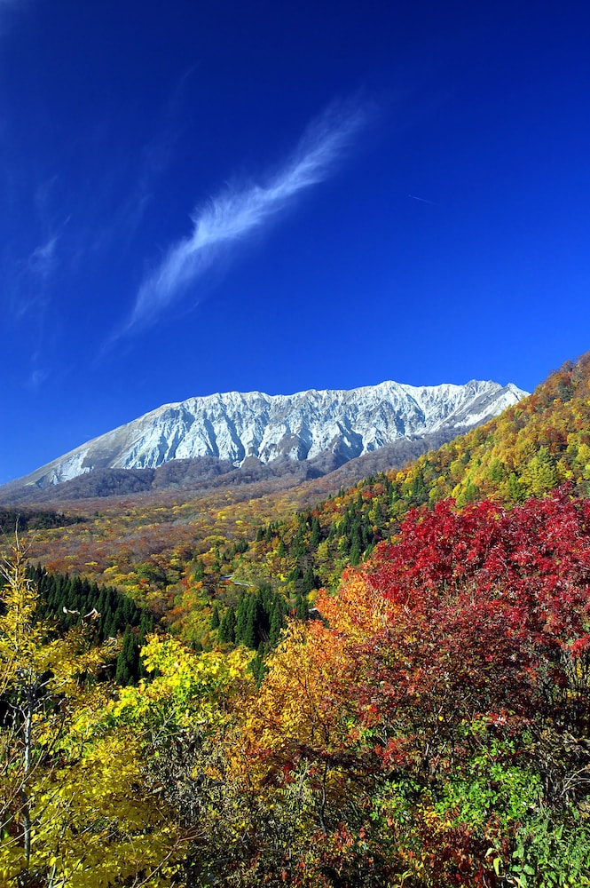 Hotel Daisen Shirogane 47/60