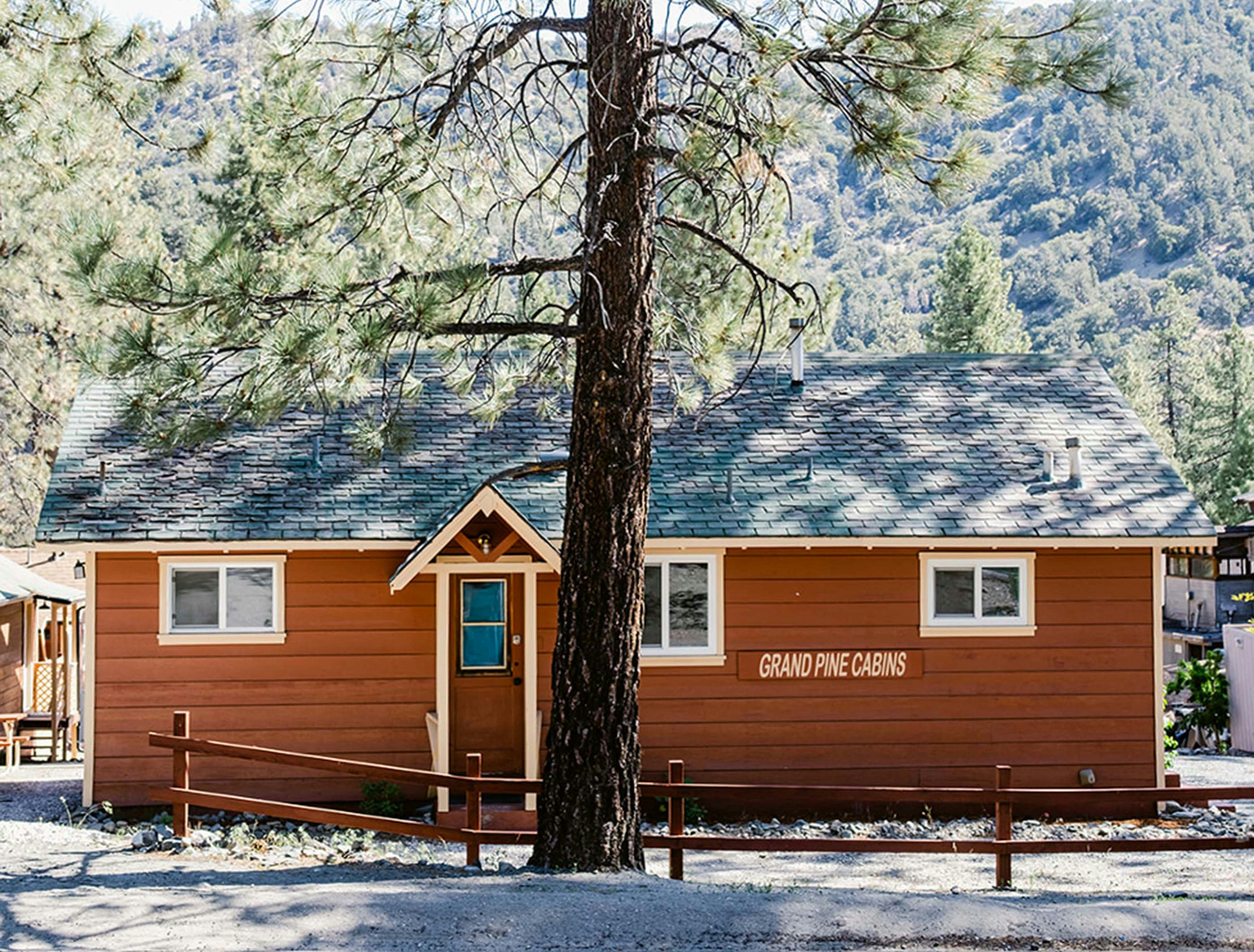 Grand Pine Cabins 41/43