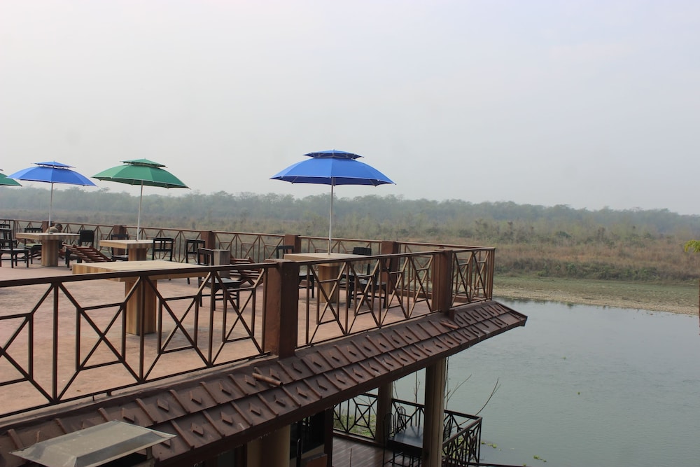 Jungle Wildlife Camp 36/41