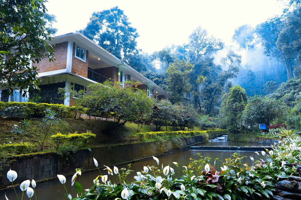Falling Waters 42/50