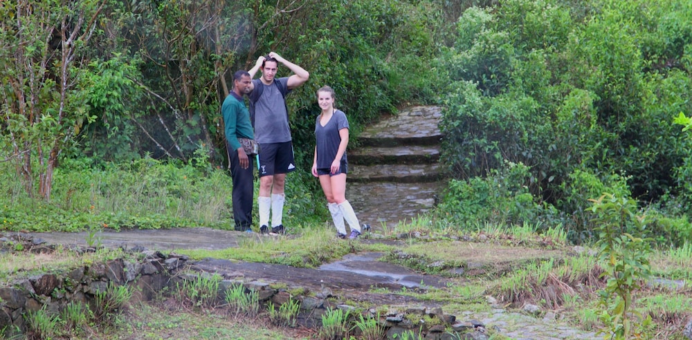 Rainforest Eco Lodge 38/41