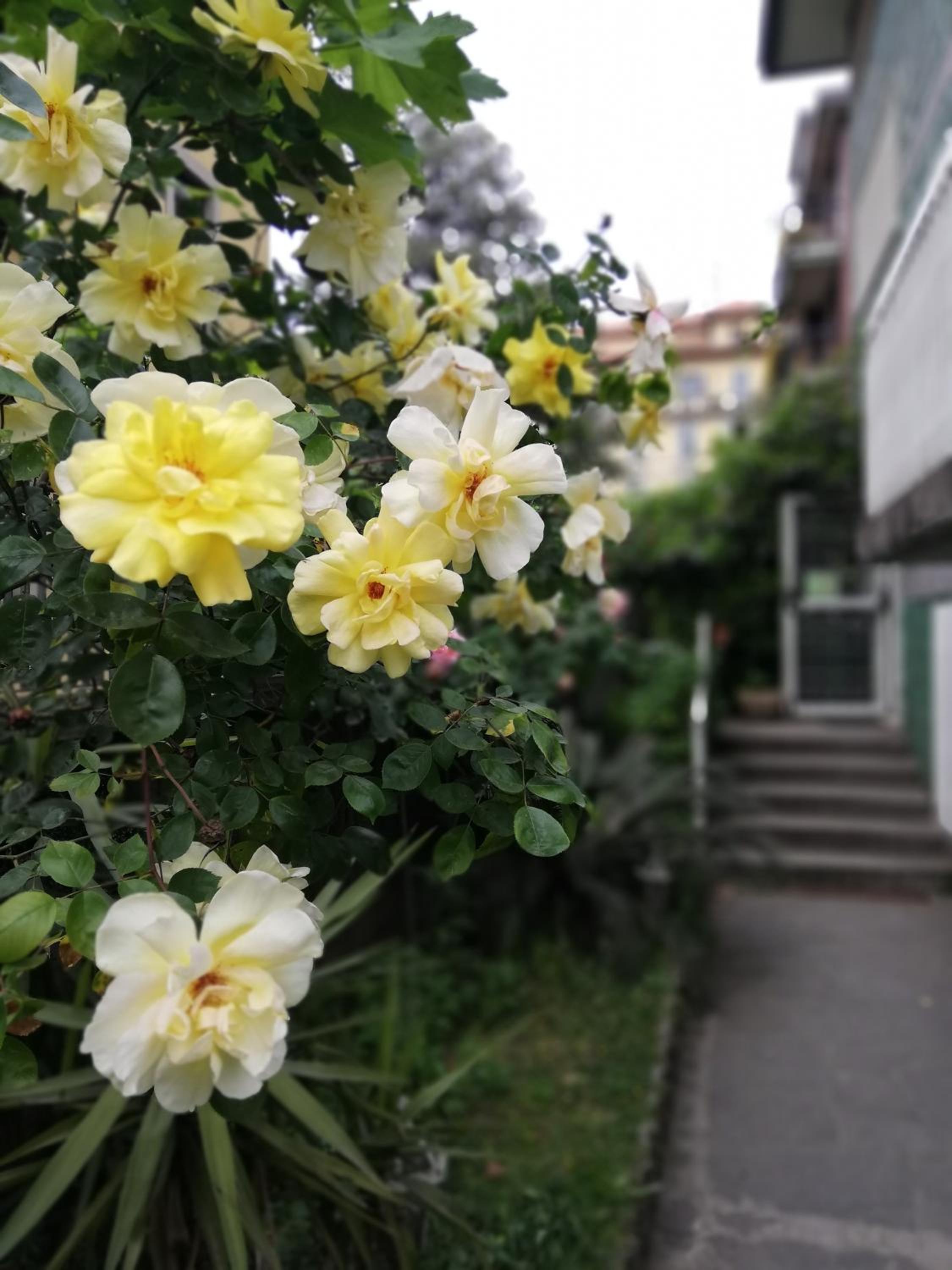 Villa Melchiorre 14/16