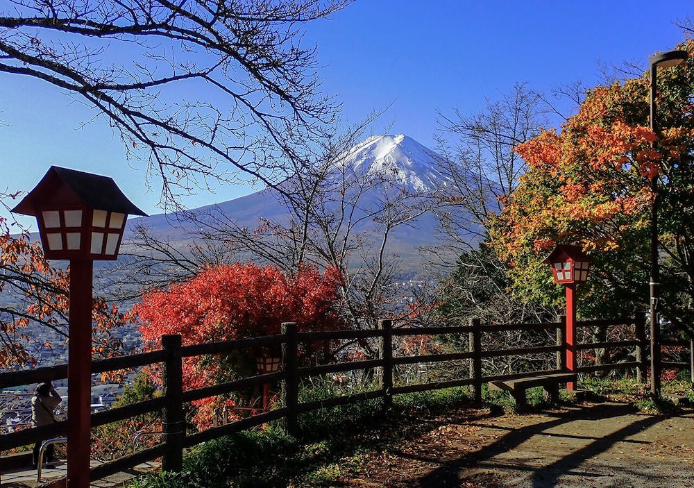 Haostay 24/31
