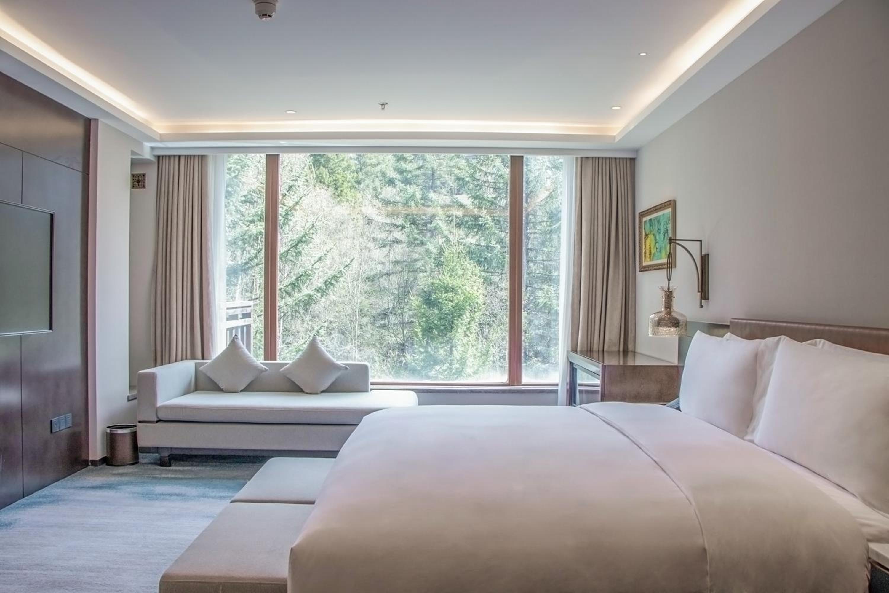 Suite, King Bed