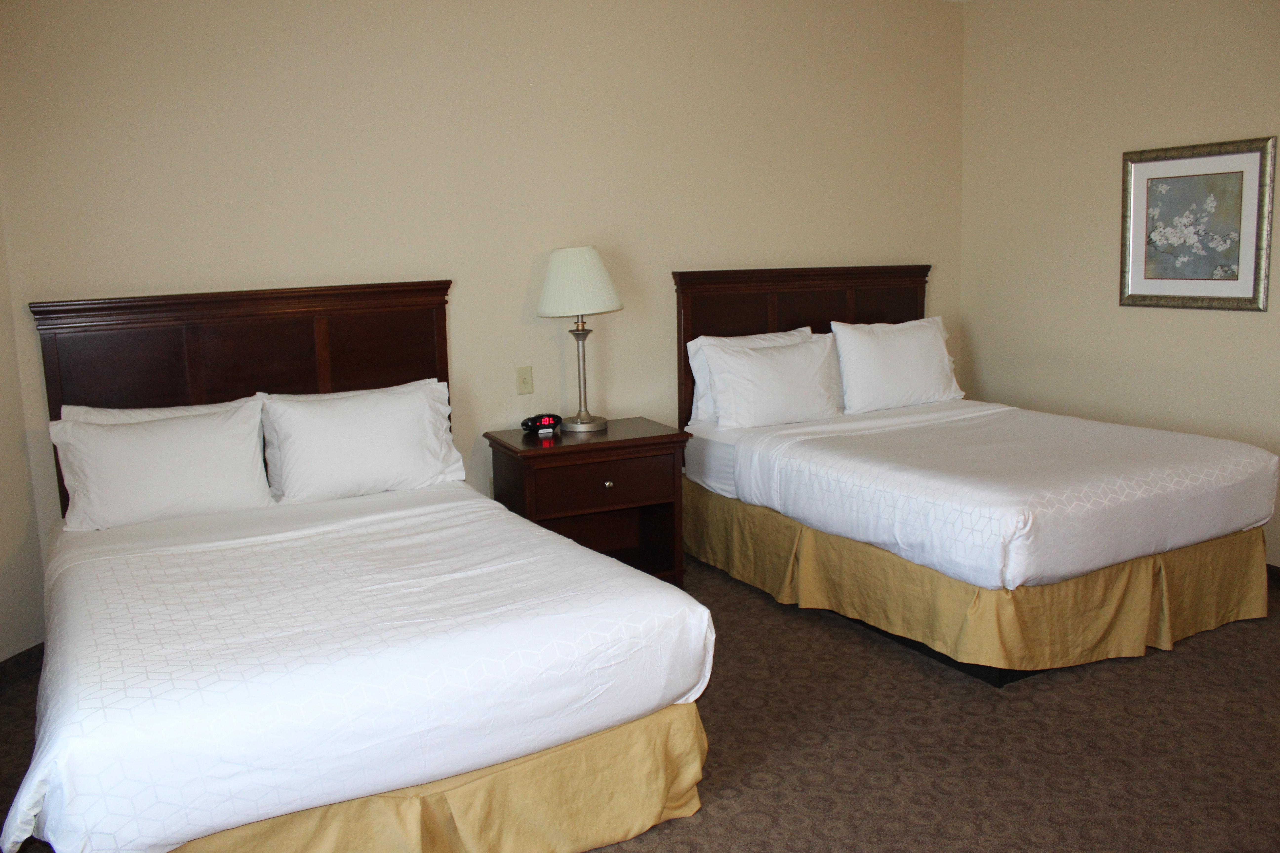Holiday Inn Express Hotel And Suites Cedar Hill 14/69