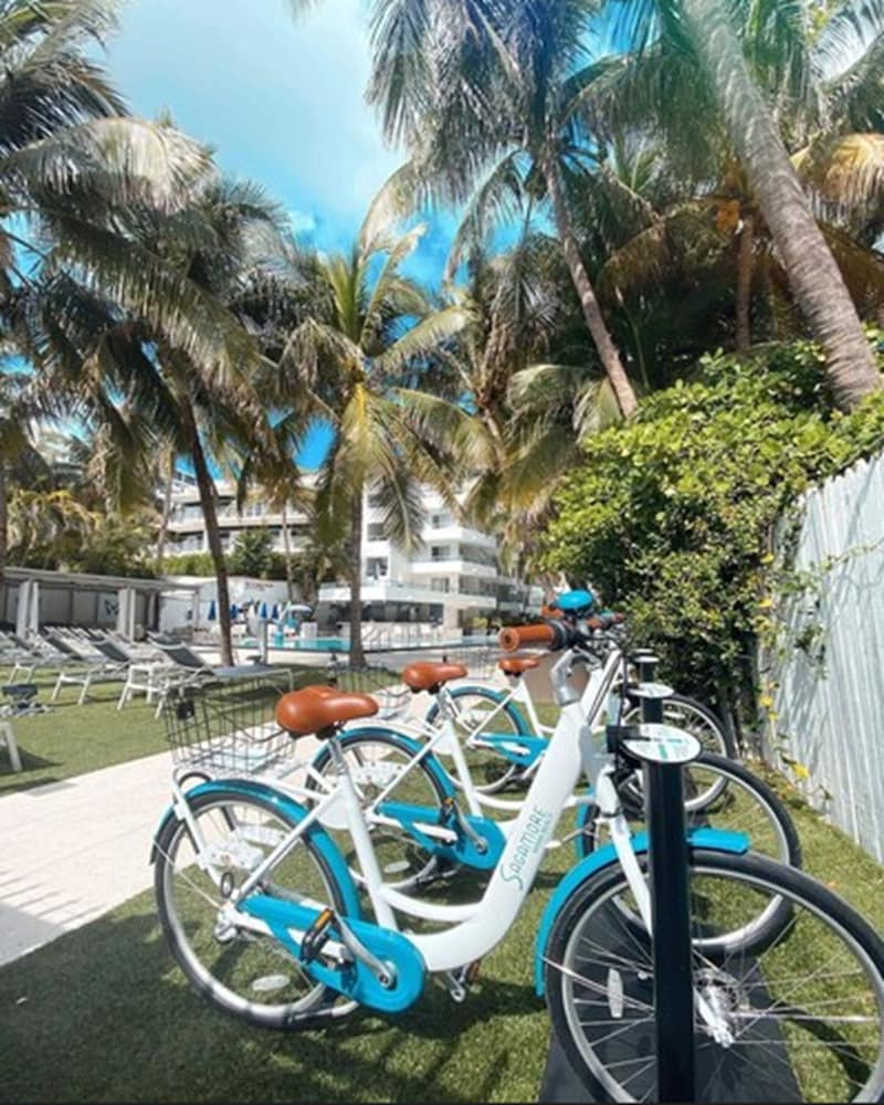 The Sagamore Hotel South Beach 66/74