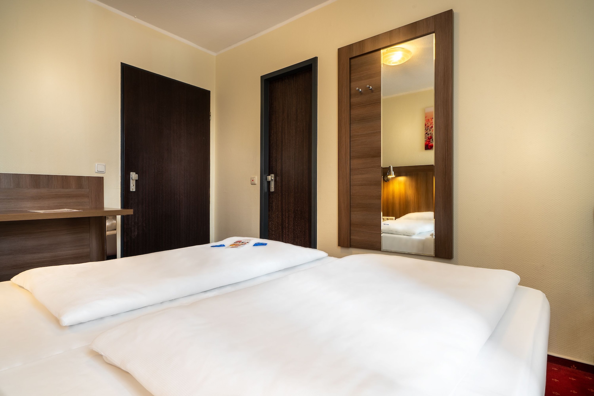 غرفة قياسية مفردة بسرير مزدوج، Hotel Leonet 4/4