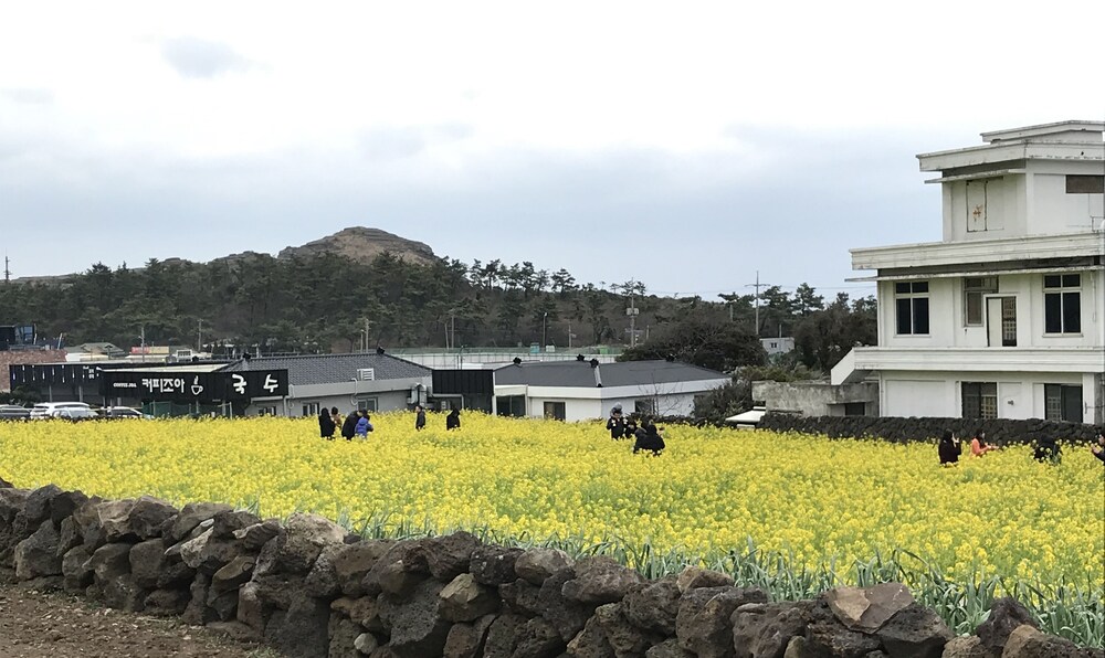 Jeju Moseulpo Hotel 35/54