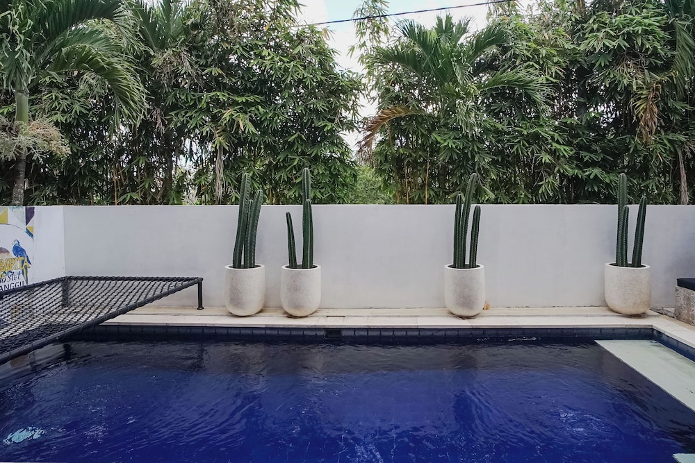 Margarita Surf Hostel Canggu 16/44