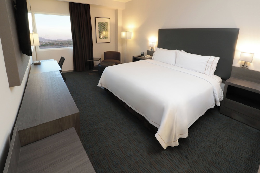 Holiday Inn Express Suites Hermosillo 13/50