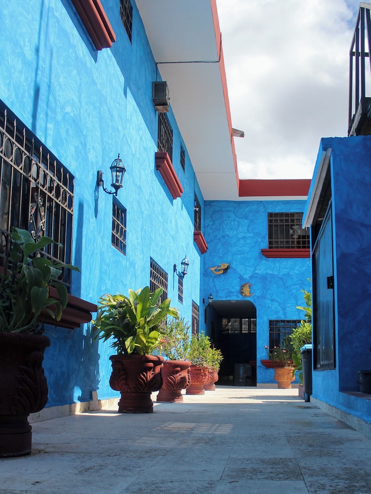 La Casona Real 6/50