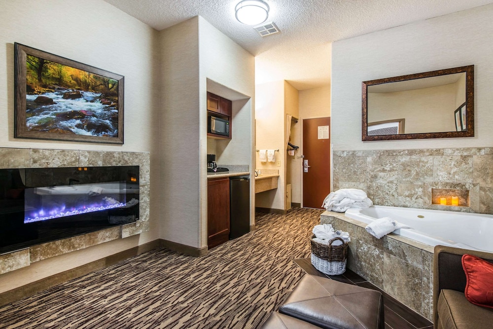 Comfort Suites At Evergreen Parkway 40/48