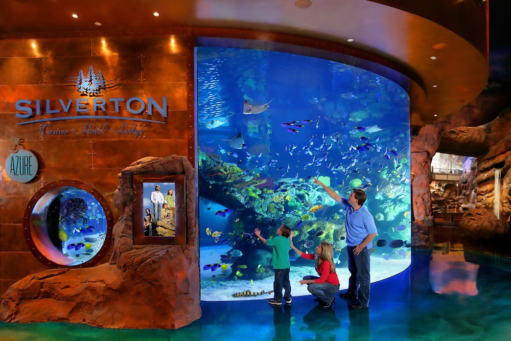 Silverton Casino Hotel 44/48