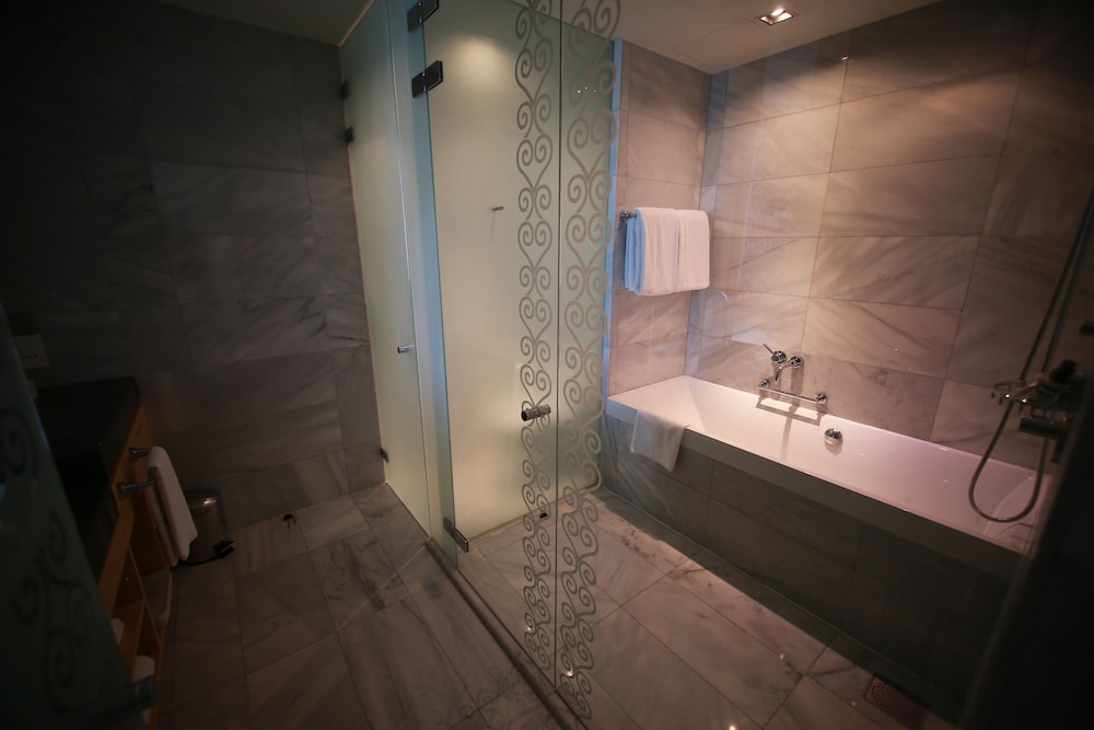 Hyatt Regency Dushanbe 20/66