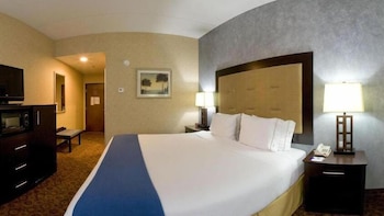 Holiday Inn Express Hotel Suites Byram 21/70