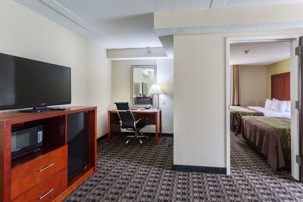 Comfort Inn Decatur Priceville 45/49