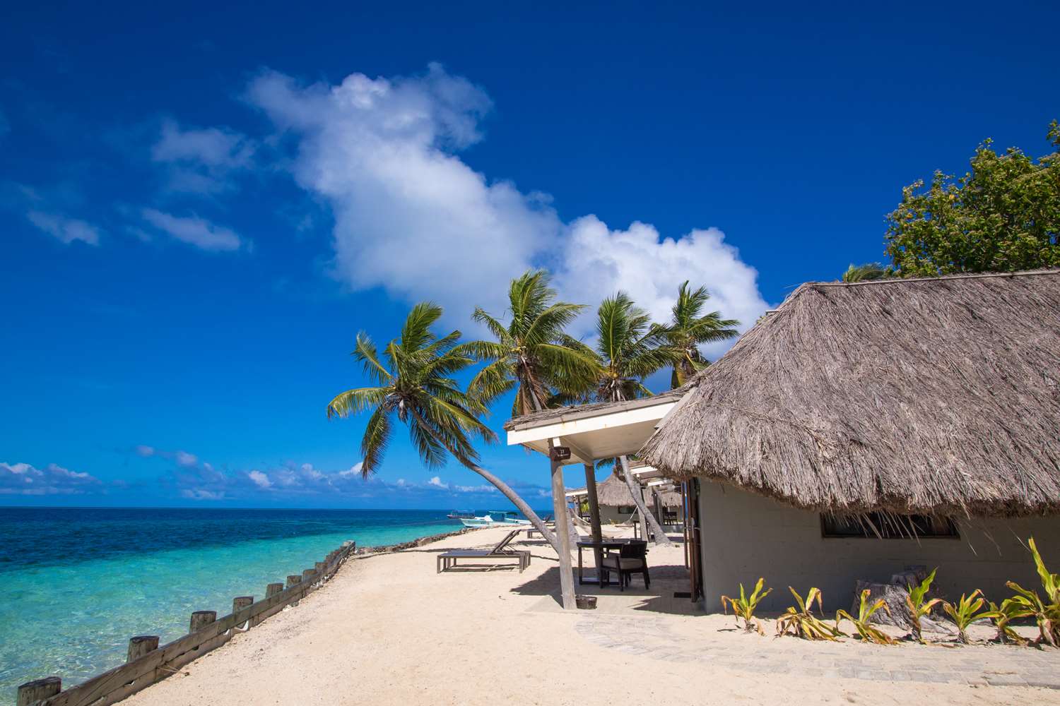 CASTAWAY ISLAND FIJI 26/48