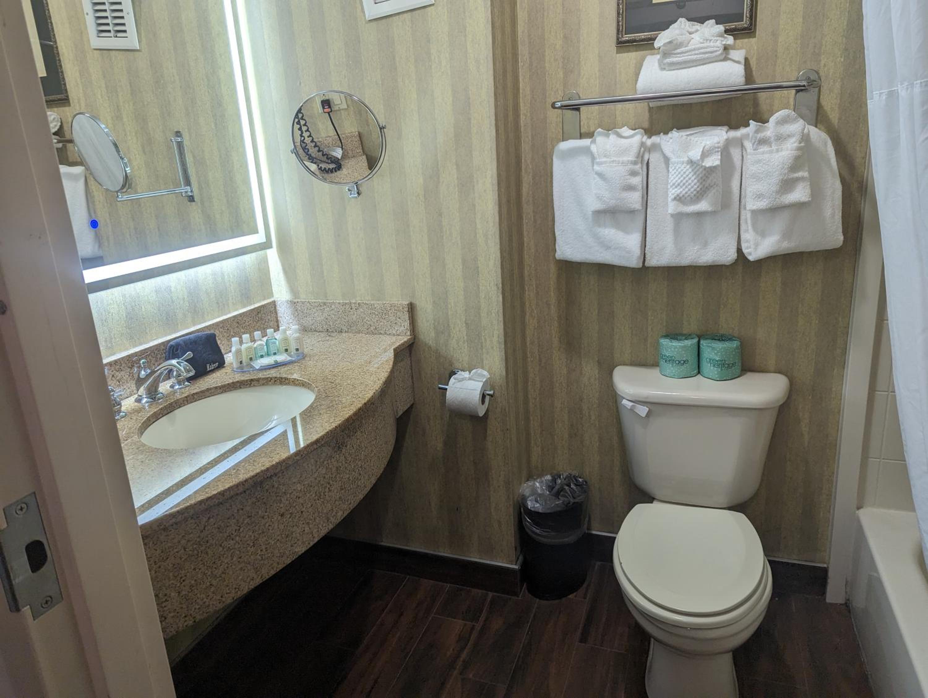 Efficiency, Suite, King Bed
