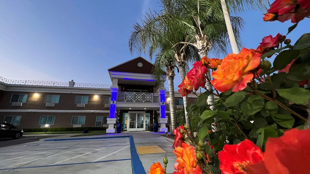 Best Western Americana in DINUBA - CA