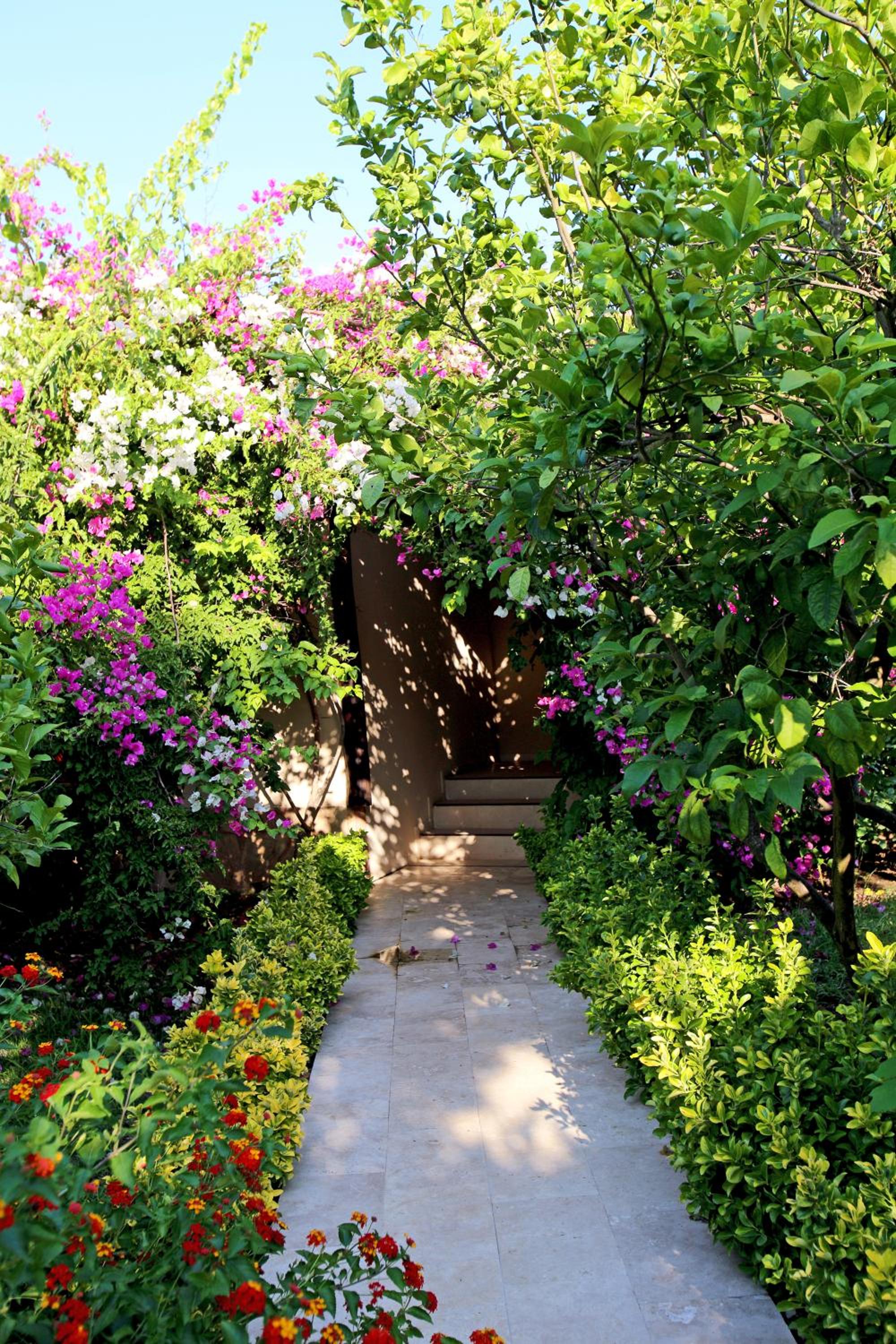 Nerissa (80Km From Antalya) 45/50
