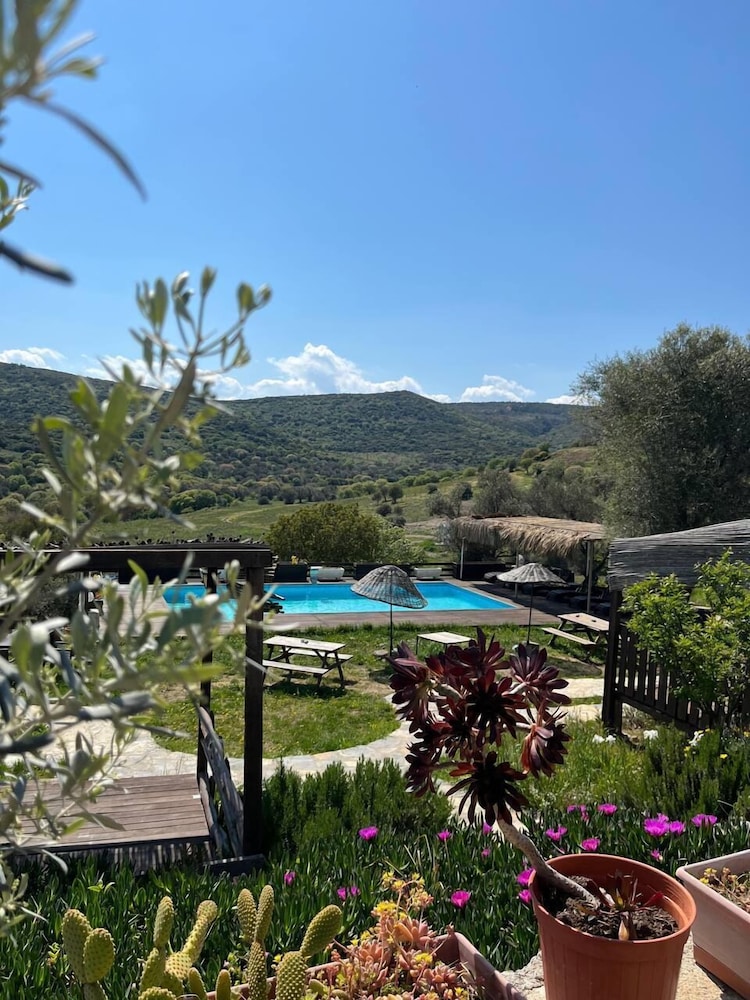 Delice Doga Evi - Hostel 30/50