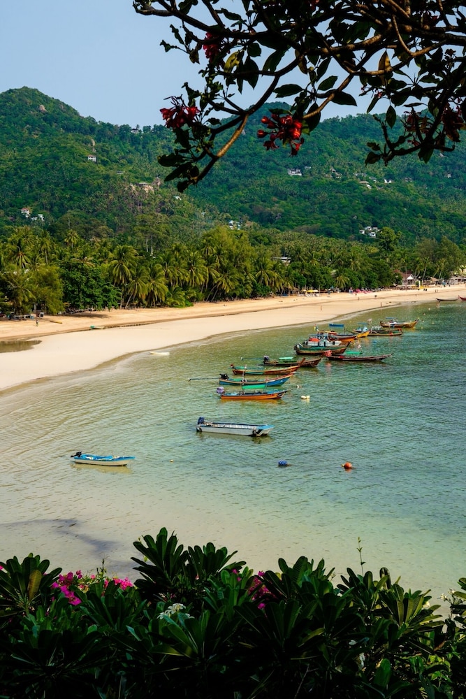 Koh Tao Cabana 50/54