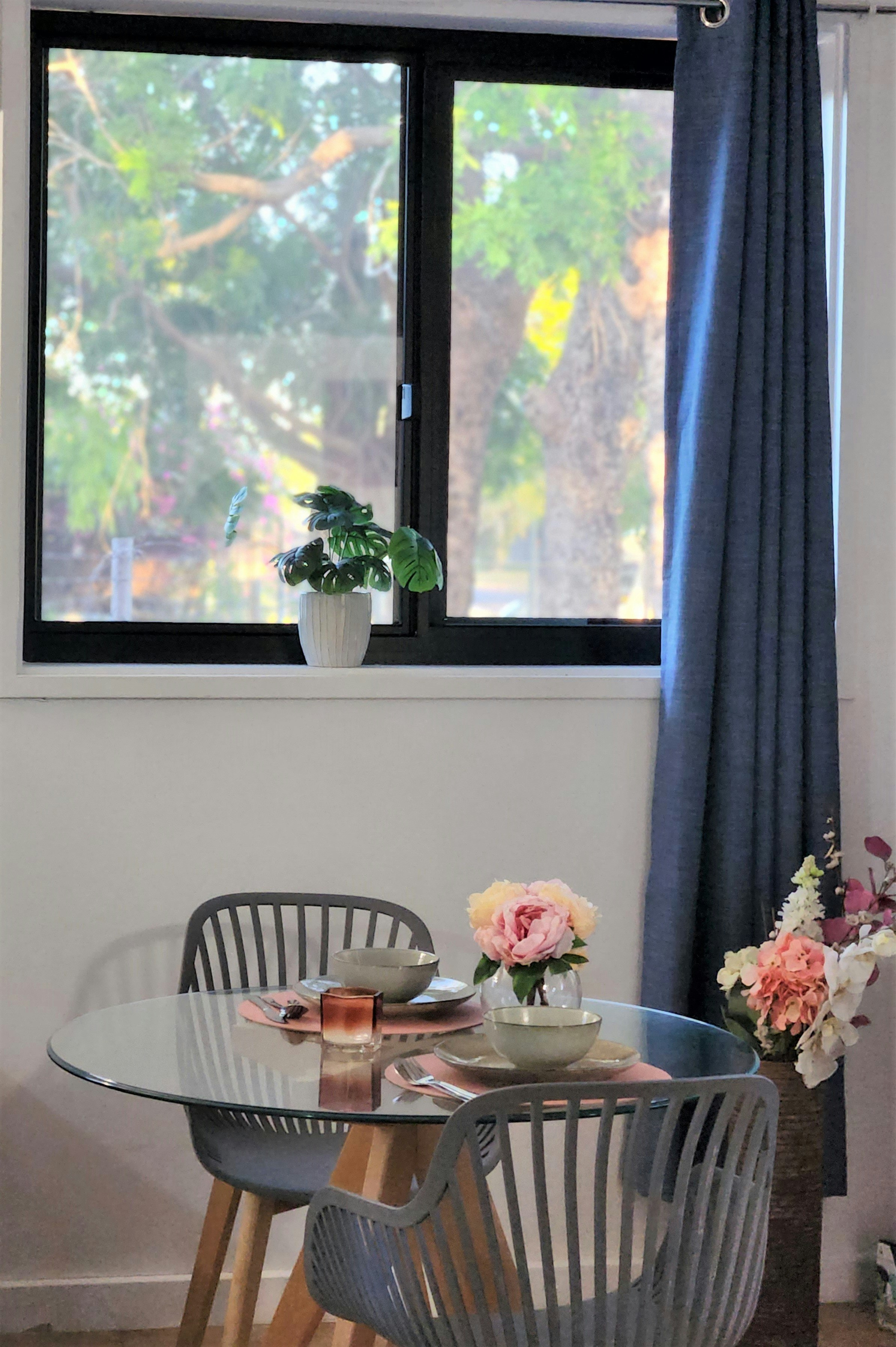 Palm Court Budget Motel Backpackers 36/43
