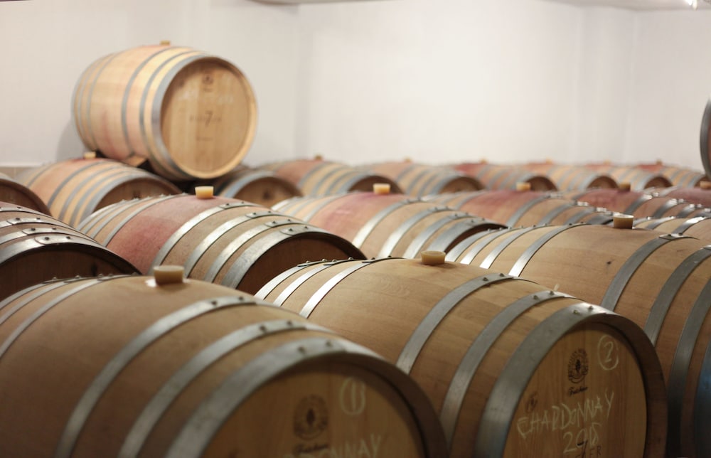 Vinifera Vineyards Hotel 23/50