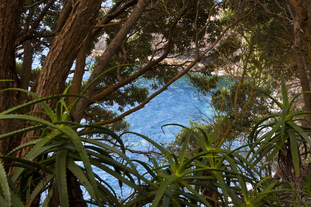 Aldeia Da Fonte 45/49