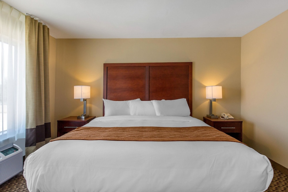 Comfort Inn & Suites SW Houston Sugarland 21/55