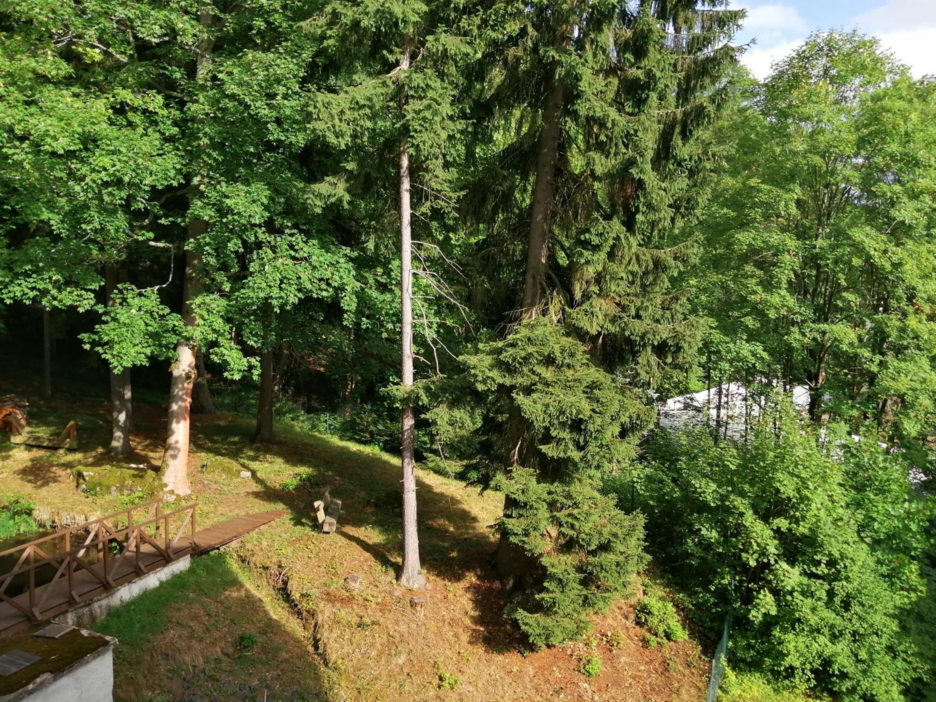 Parkhotel Forest 49/60