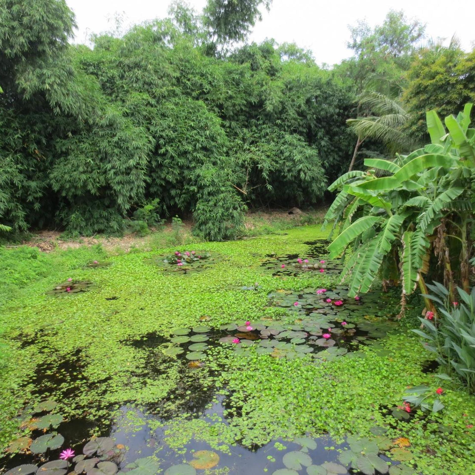 Baan Ton Nam Resort 56/61