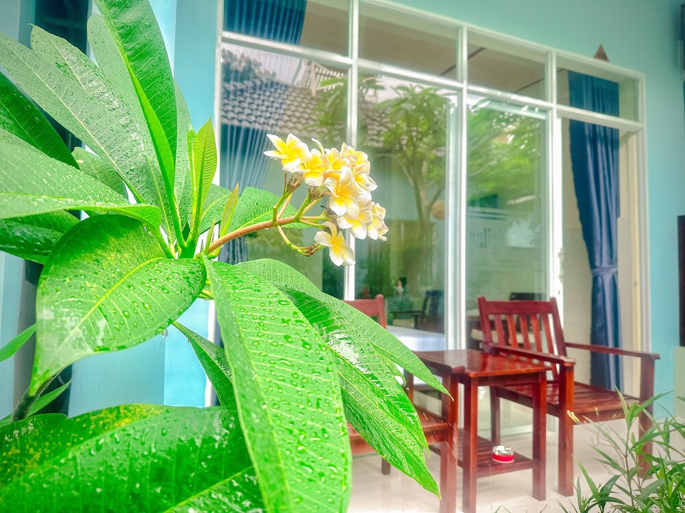 Sunlight Bungalow 30/50