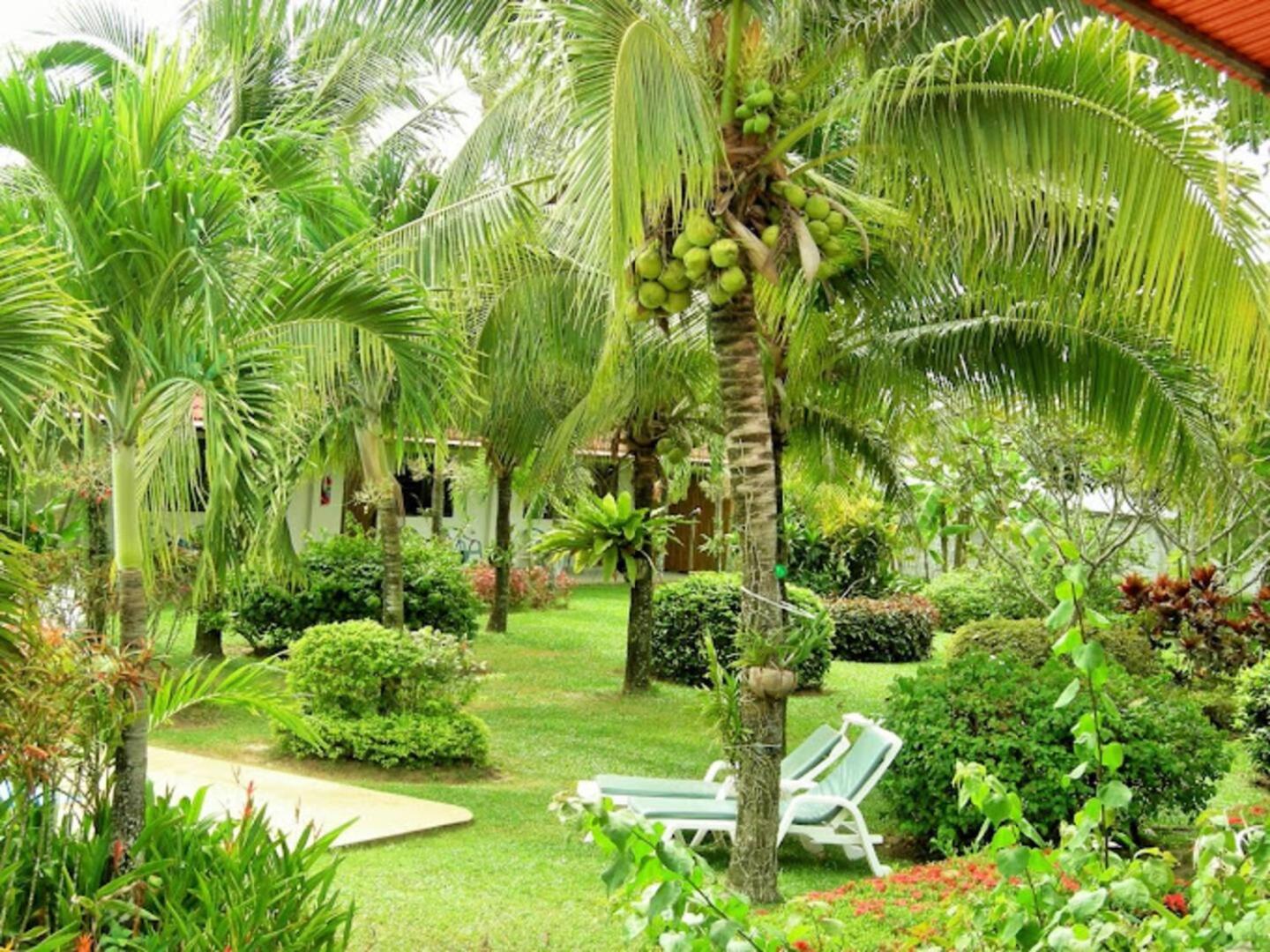 The Golddigger's Resort 77/81