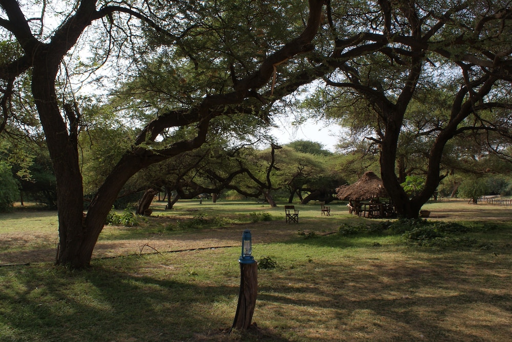 LAKE NATRON TENTED CAMP 10/17