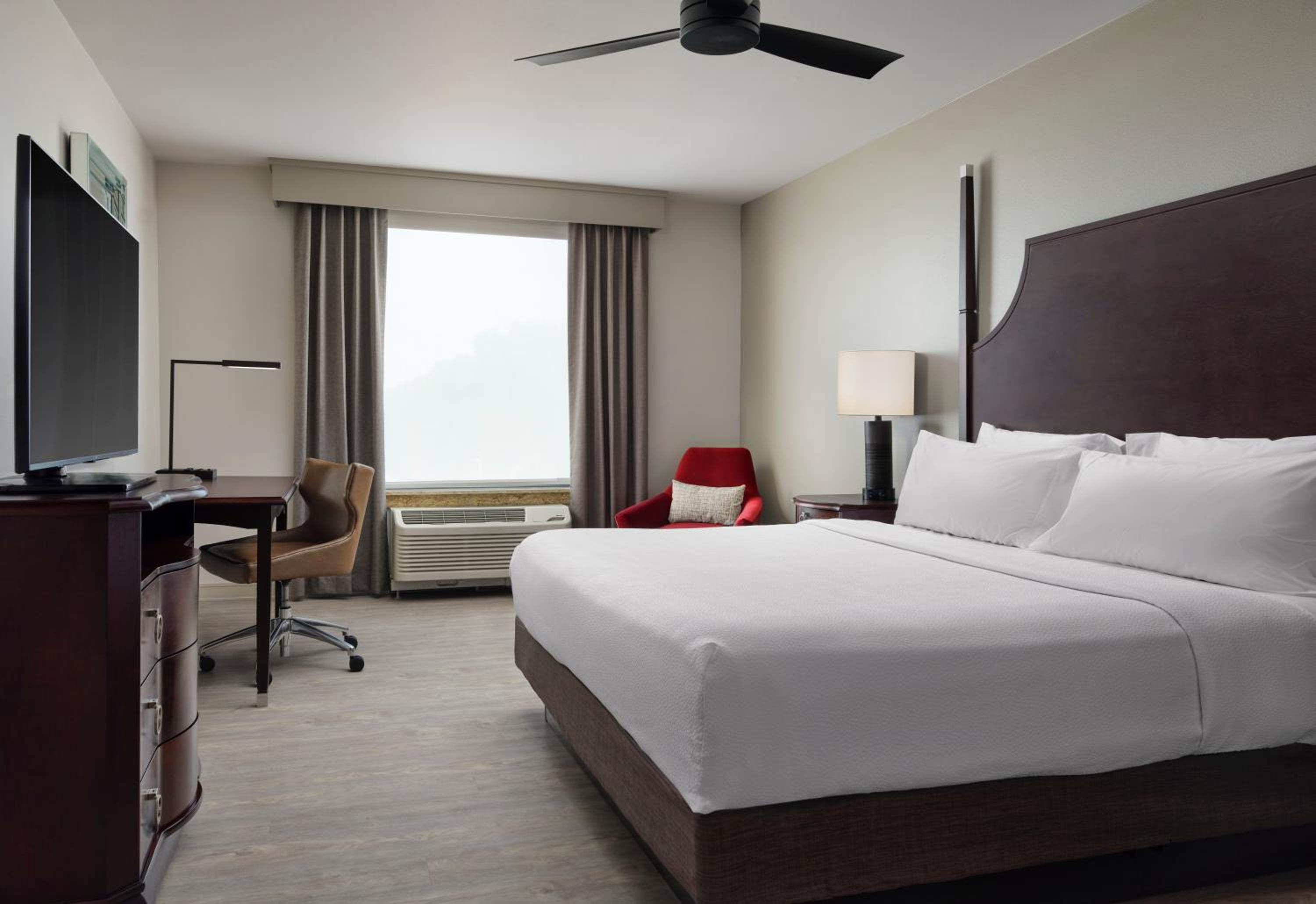 Suite, King Bed, Sofa, Accessible
