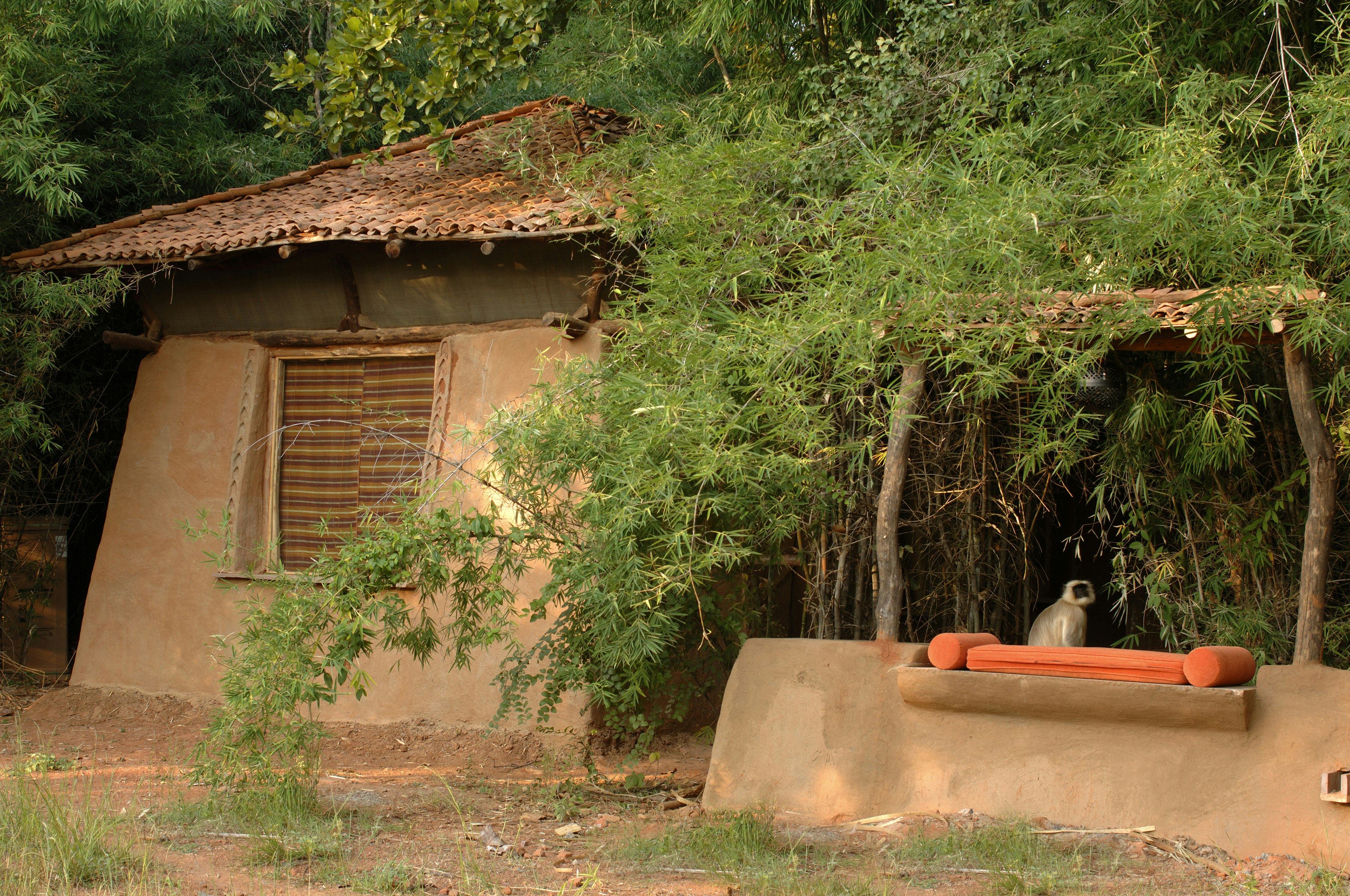 Mahua Kothi 14/15
